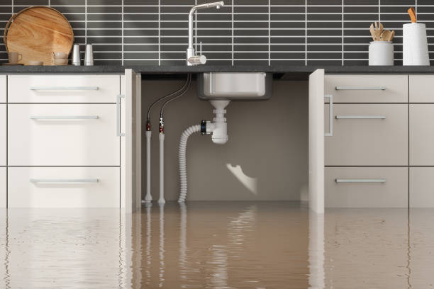 Trusted Water Damage Restoration in Woodbury, MN | Fast, Reliable, and Ready to Assist You